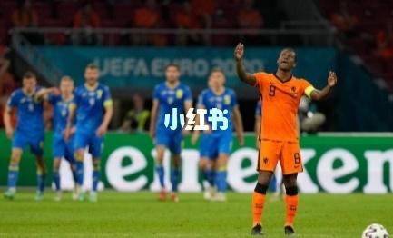 荷兰vs奥地利直播